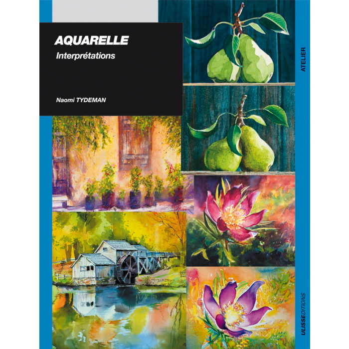 Knjiga AQUARELLE INTERPRETATIONS TYDEMAN