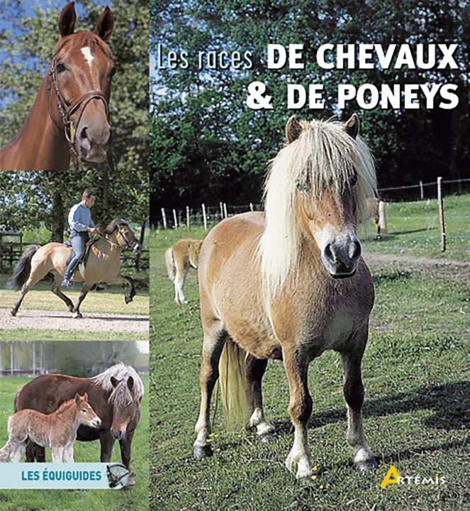 Kniha Les races de chevaux et poneys 