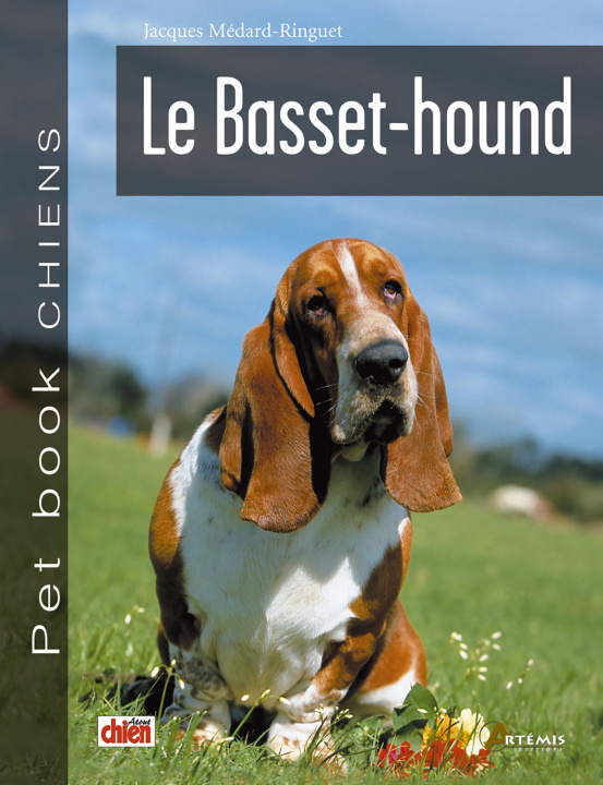 Carte Le basset-hound Médard-Ringuet