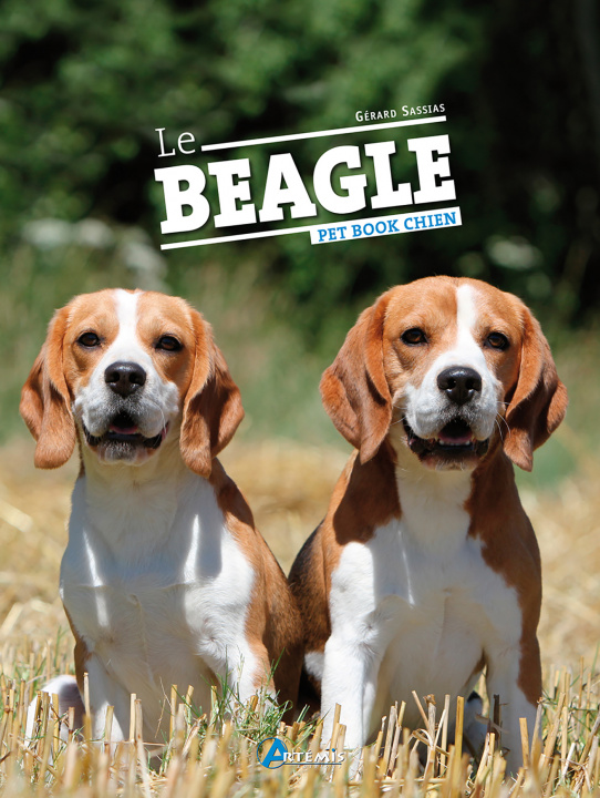 Kniha Le beagle Sasias