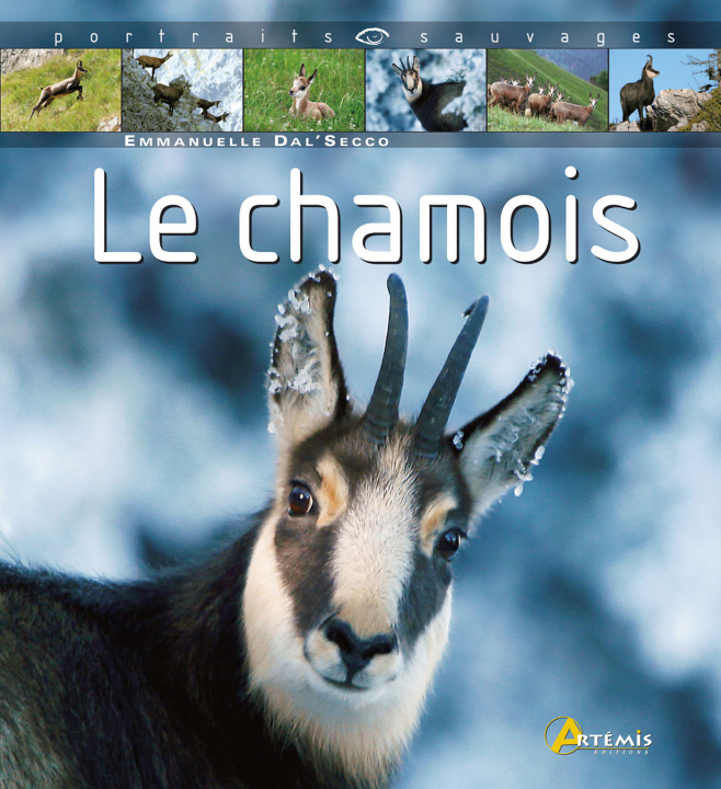 Kniha Le chamois Dal'Secco