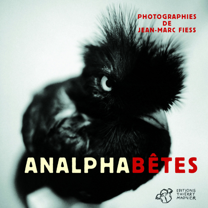 Knjiga Analphabêtes - épuisé fiess jean-marc