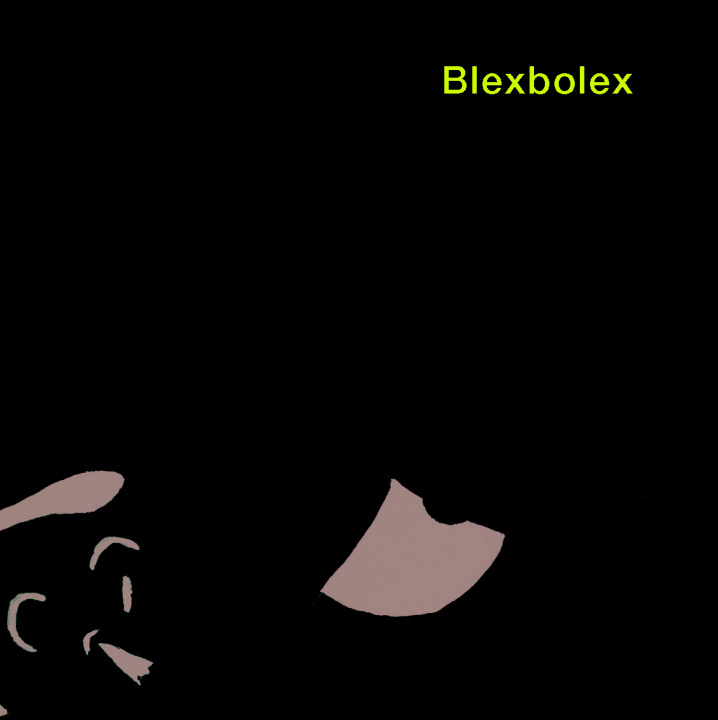 Kniha Bim de la jungle Blexbolex