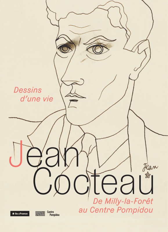 Kniha Jean Cocteau - Dessins d'une vie Sous la direction de Christian Briend