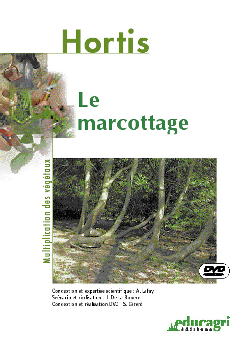 Video Marcottage (Le) LAFAY