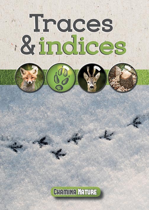Knjiga Traces & indices 