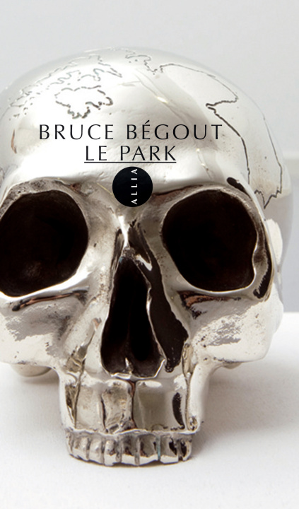 Kniha LE PARK Bruce BEGOUT