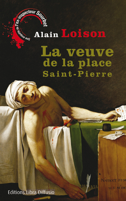 Kniha La veuve de la place Saint-Pierre Loison