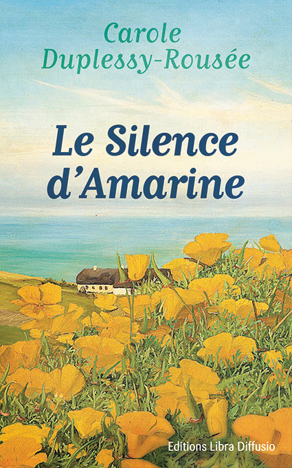 Carte Le silence d'Amarine Duplessy-Rousée
