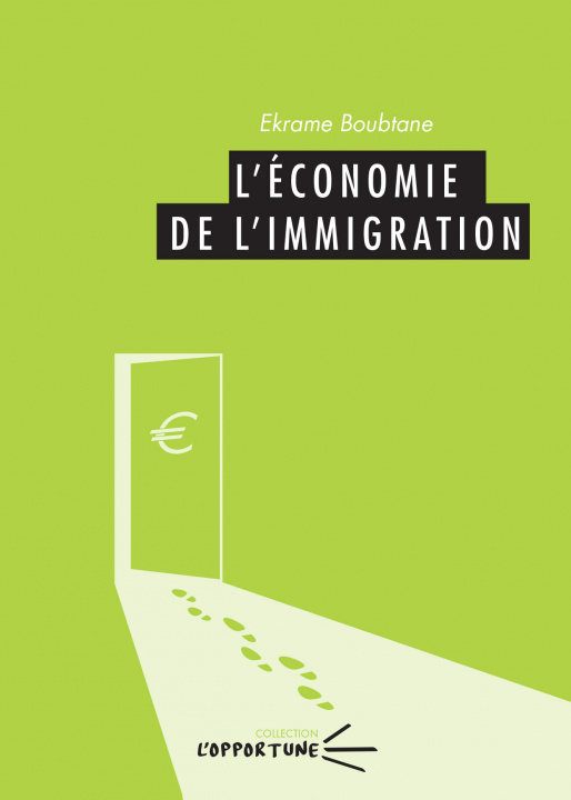 Kniha L'économie de l'immigration Boubtane