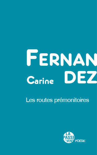 Buch LES ROUTES PRÉMONITOIRES CARINE