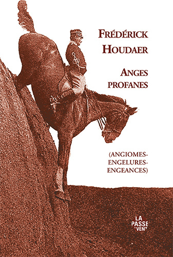 Knjiga ANGES PROFANES HOUDAER