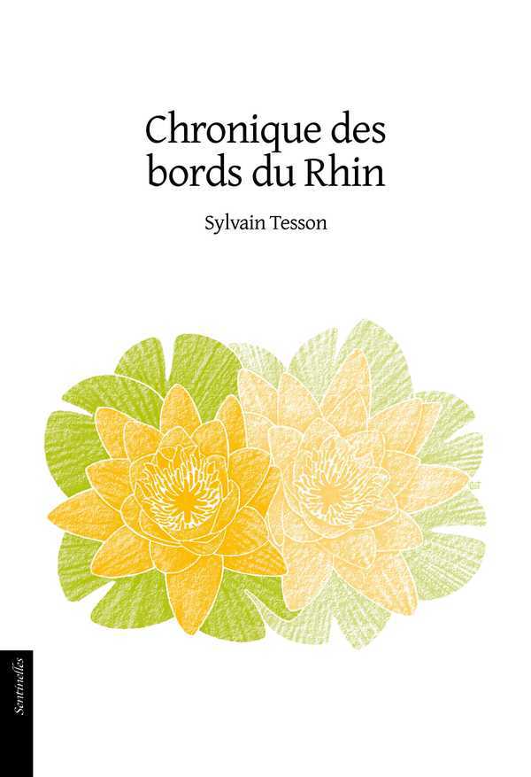 Book Chronique des bords du Rhin Sylvain Tesson