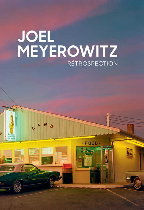 Könyv Rétrospection Meyerowitz joel