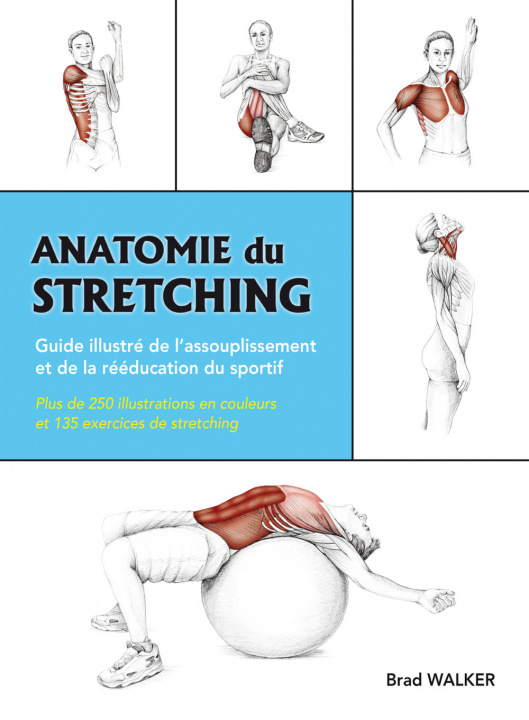 Carte Anatomie du stretching WALKER