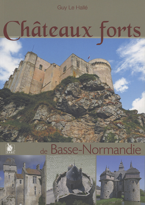 Kniha Chateaux Forts De La Basse Normandie Halle le/buffetaut