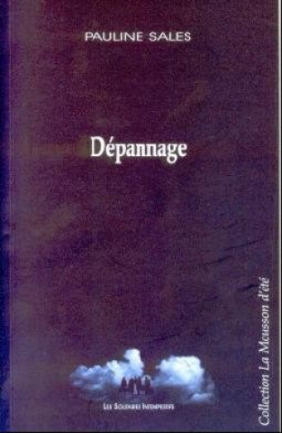 Libro DÉPANNAGE Sales pauline