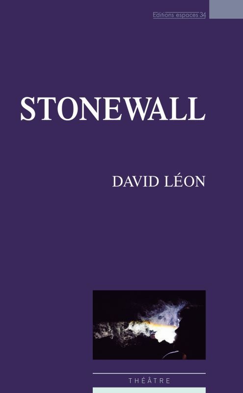Book Stonewall LEON DAVID