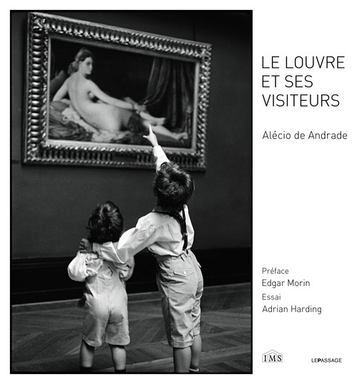 Kniha Le Louvre et ses visiteurs Alecio de Andrade