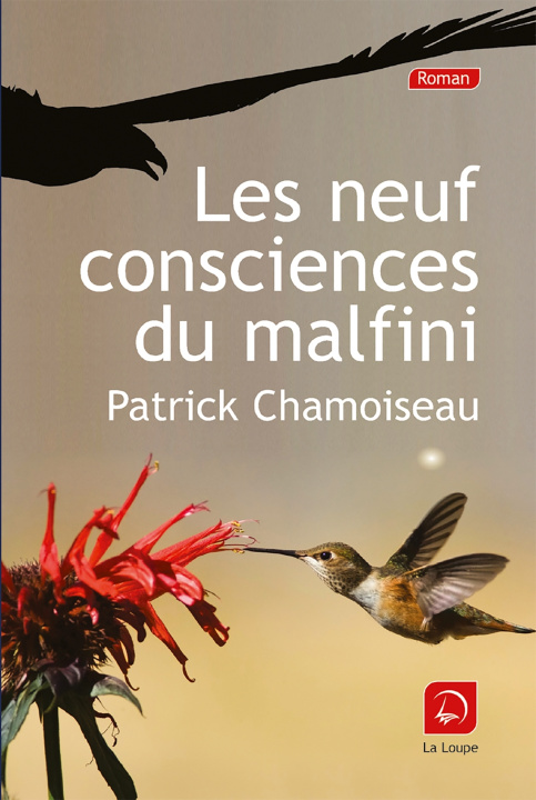 Kniha Les neuf consciences du Malfini Chamoiseau