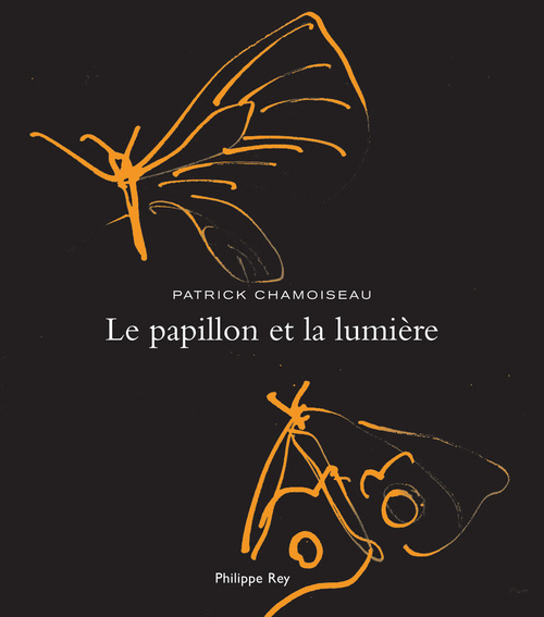 Knjiga Le Papillon et la lumière Patrick Chamoiseau