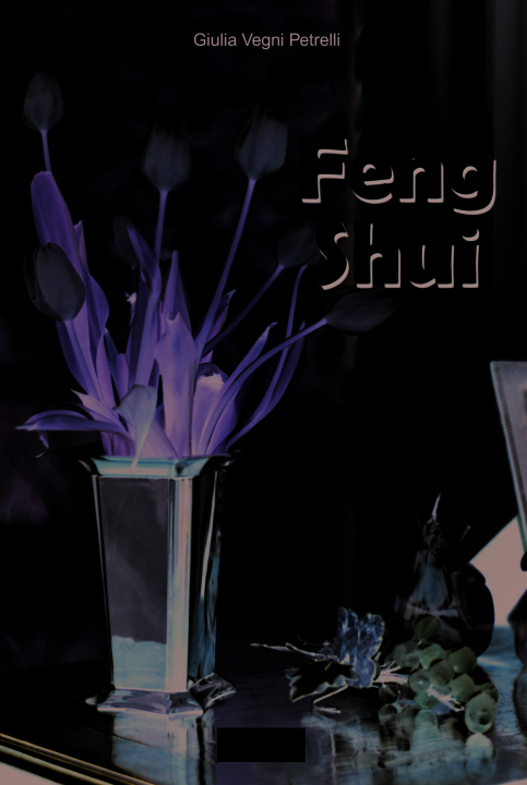 Knjiga Feng-shui VEGNI PETRELLI