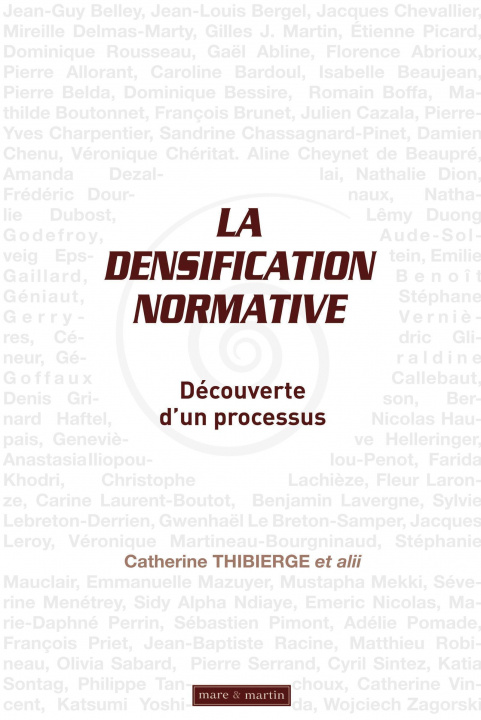 Boek La densification normative Alii