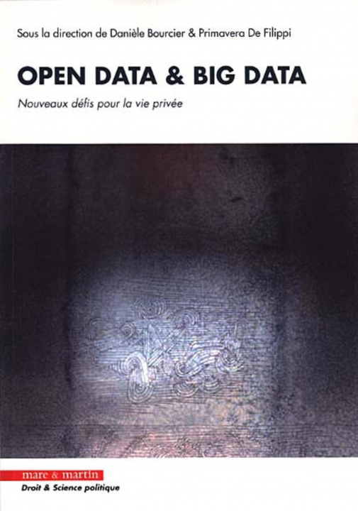 Book Open data et big data de Philippi