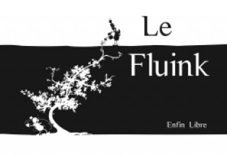 Knjiga Le Fluink 