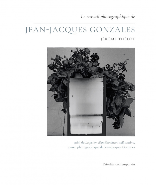 Kniha Le Travail photographique de Jean-Jacques Gonzales Jérôme Thélot
