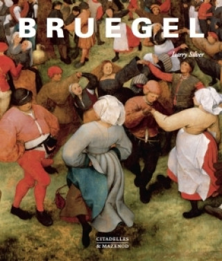 Kniha Bruegel SILVER-L