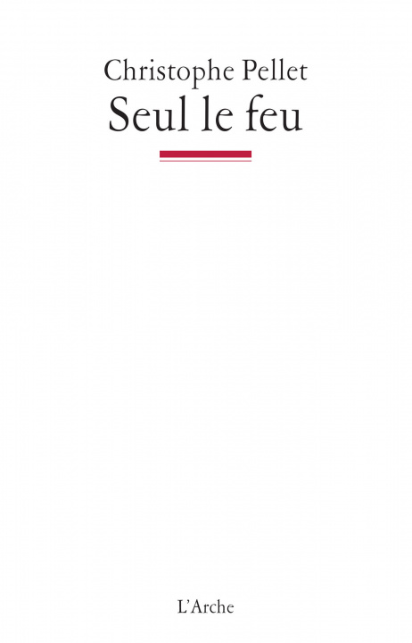 Buch Seul le feu Pellet