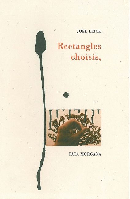 Knjiga Rectangles choisis Leick