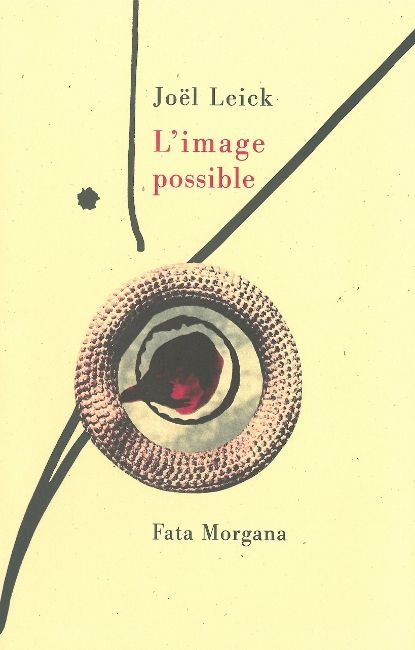 Boek L’image possible Leick