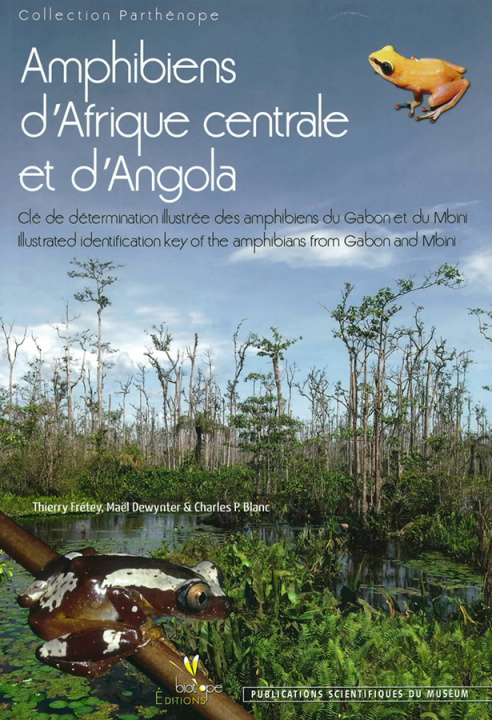 Carte Amphibiens d’Afrique centrale et d’Angola. Clé de détermination Illustrée des Amphibiens du Gabon et FRÉTEY et al
