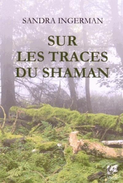 Buch Sur les traces du shaman Sandra Ingerman