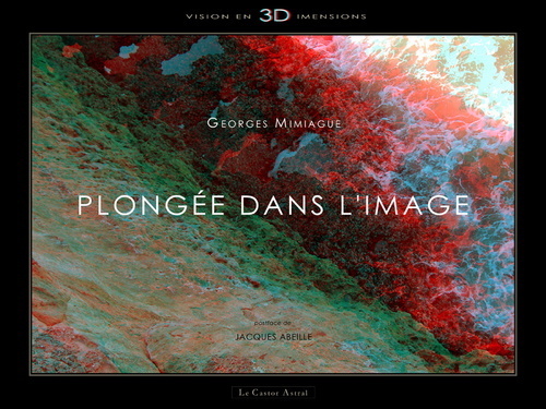 Knjiga Plongée dans l'image Georges Mimiague