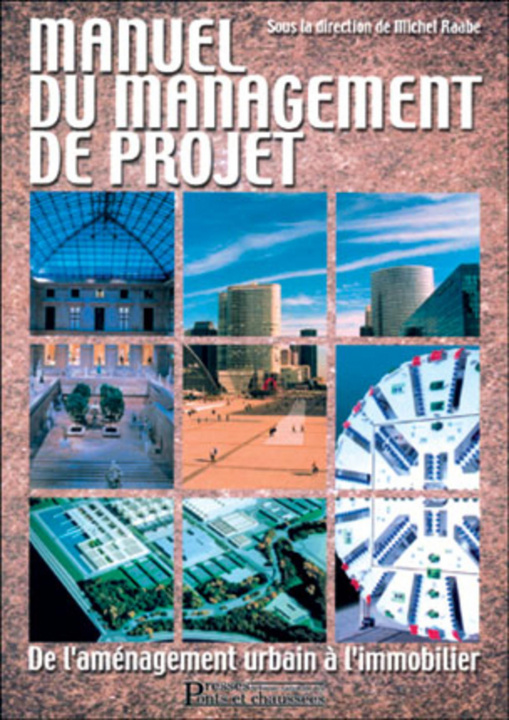 Kniha Le manuel du management de projet Raabe