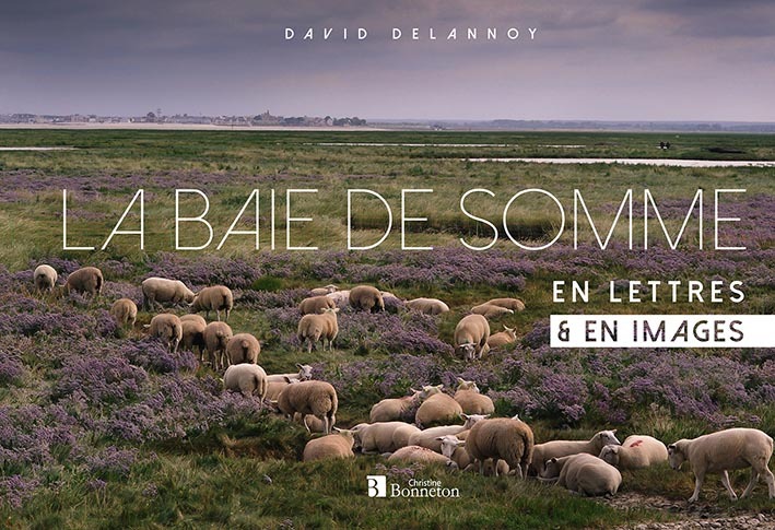 Kniha La baie de Somme en lettres & en images Delannoy