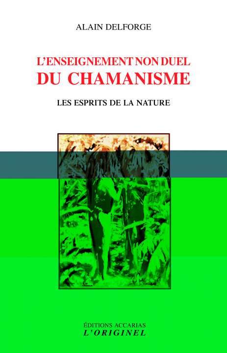 Kniha L'enseignement non duel du chamanisme DELFORGE