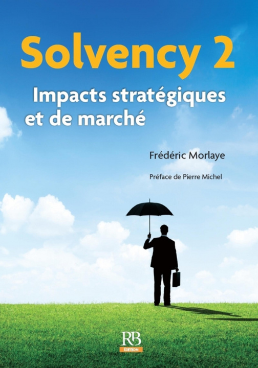 Buch Solvency 2 Morlaye