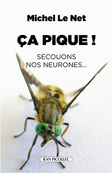 Livro Ça pique ! LE NET