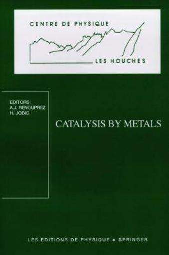 Könyv Catalysis by metals RENOUPREZ/JOBIC