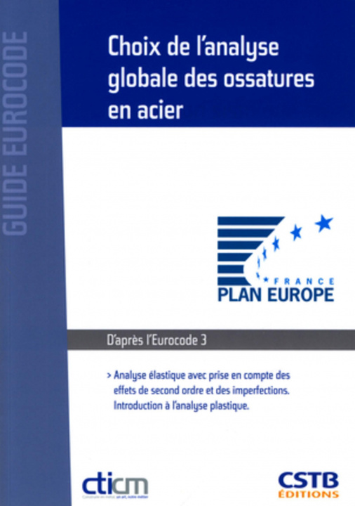 Knjiga Choix de l'analyse globale des ossatures en acier Bureau