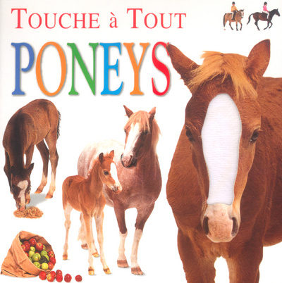 Knjiga Poneys collegium