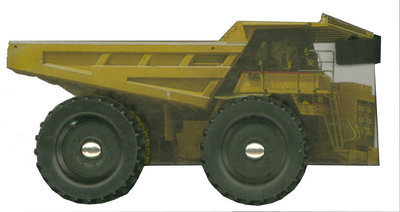 Buch CAMIONS collegium