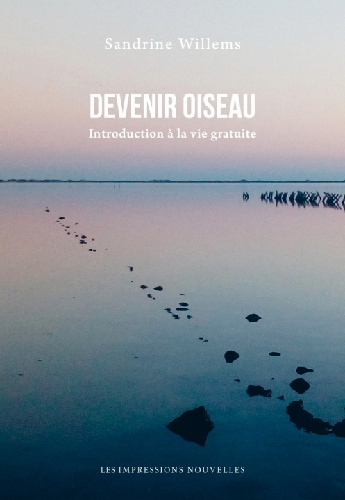 Kniha DEVENIR OISEAU - INTRODUCTION A LA VIE GRATUITE Sandrine WILLEMS