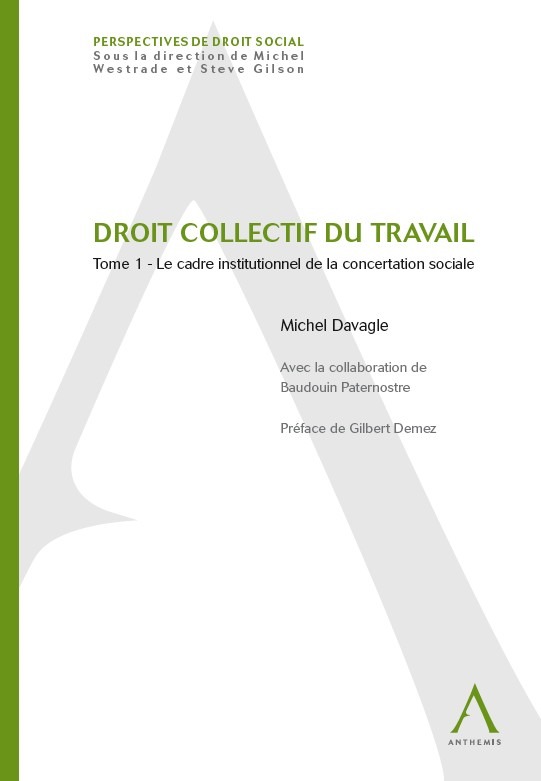 Boek DROIT COLLECTIF DU TRAVAIL Davagle m.