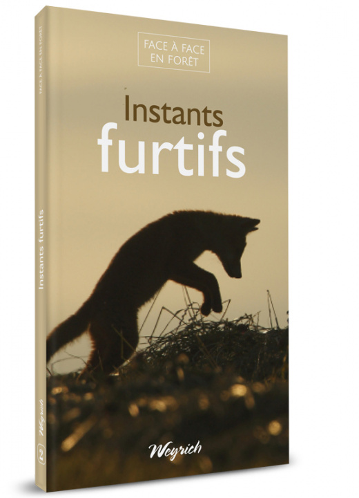Boek Instants furtifs 