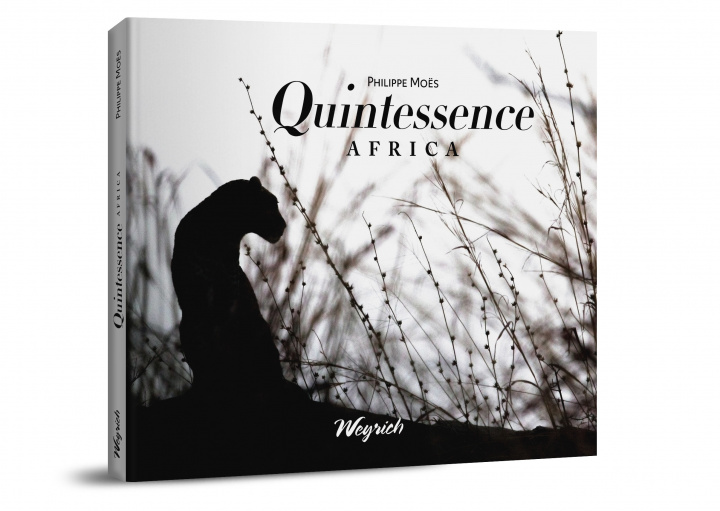 Книга Quintessence Africa Moës